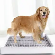 Splashproof Dog Urine Pot Indoor Potty Tray with Sides Pet Training