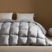 8H Machine Washable 95 White Goose Down Couple Antibacterial Warm Quilt
