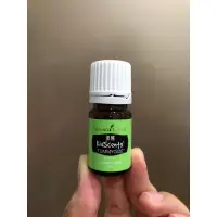 在飛比找蝦皮購物優惠-Young Living 悠樂芳 柔暢精油