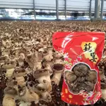 WANWORLD (小農直出需單獨下單) 純正台灣新鮮香菇 幼兒副食品必備 素食可用 年節禮盒