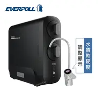 在飛比找蝦皮商城優惠-EVERPOLL愛科濾淨RO-800T/RO800GT 直出