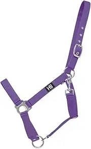 Hy Economy Plus Head Collar (UK Size: Pony) (Purple)