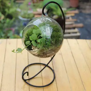 玻璃花瓶水培 創意水培花瓶 懸掛植物吊瓶 玻璃花盆 不含架子