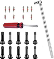 BuiBettFu TR414 Valve Stem Puller Setup Toolkit 1 x Valve Core Remover 1 x Valve Stem Installer 10 x Snap-in Valve Stems with Valve Stem Cores (22pcs)