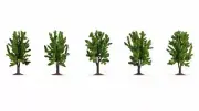 NOCH HO, TT, N, Z Scale Deciduous Trees (5pcs, approx. 8 cm high)