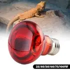 Amphibian Snake Reptile bulb light Heat night light UVA 55g light Day D8C5