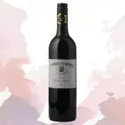 Tyrrell's Vat 9 Hunter Valley Shiraz 2011 | DIVINE LIQUIDITY |