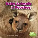 BABY ANIMALS IN POUCHES