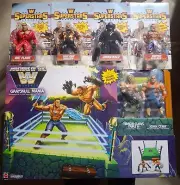Masters Of The WWE Universe GraySkull Mania Ring W/ HHH & John Cena New