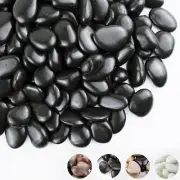 2Lbs Black Pebbles for Indoor Plants, 1-2Inch Natural River Rocks for Aquarium,