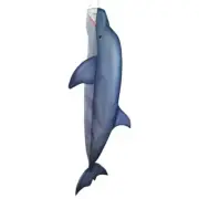 Dolphin 48" Fish Windsock