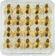 Trout Fly Fishing Bait,20X Fly Fishing Lures Bee Simulated Attractant - Angling Tackle Gear with Storage Case for Freshwater Saltwater Deep Sea Lake River Pond