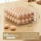 Clear 60 Eggs Organizer for Fridge Stackable Storage Tray Dispenser Container
