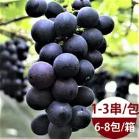 在飛比找momo購物網優惠-【水果達人】台灣一級巨峰葡萄禮盒6斤x1箱(1-3串/包)