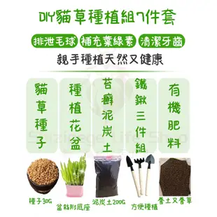 【獅子葛格生活小舖】 DIY貓草種植組 貓草種植 小麥草種子 貓草 小麥草 大麥草 貓草種子 貓薄荷種子 貓大麻 貓零食