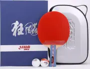 DHS Hurricane #2 No.2 Table Tennis Paddle/Bat, PingPong Racket, NEW, AUD