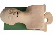 1 PC Airway Management Model Healthcare Training Manikin Patient Simulators