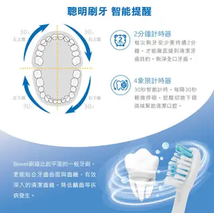【Biowell 博佳】音波震動牙刷專用刷頭組(2入/組)ST101 (2折)