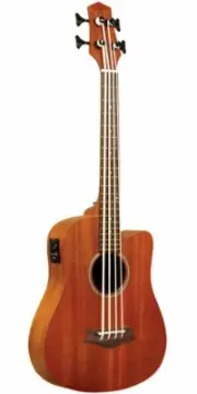 NEW - Gold Tone M-Bass 23-Inch Scale Acoustic-Electric MicroBass with Gig Bag