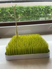 Boon Grass Baby Bottle Drying Rack Twig & Stem Set Green Holder Drier Organiser
