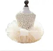 Pet, puppy, cat, spring and summer clothes, lightweight hollow palace wedding dress