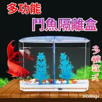 在飛比找蝦皮購物優惠-[[一心🇹🇼水族]]【鬥魚隔離盒】多功能隔離盒 鬥魚 半月 