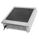 HG 3500W Portable Induction Cooktop Countertop Burner Induction Hot Plate W/Angl