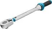 Hazet 5110-3CT 3/8-Inch Square 2.5-25 Nm Solid Torque Wrench, +/- 3% Accuracy, 320 mm Length