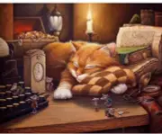 Paint By Numbers Adults kids Ginger Cat Cozy Nap DIY Painting Kit 40x50CM Canvas