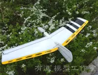 在飛比找露天拍賣優惠-ALULA DLG 手擲滑翔機 改進版 EPP滑翔機 無動力