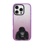 iPhone 16 Pro Impact Case MagSafe Compatible Toy Poodle clear case dog portrait cute pet cell phone custom case