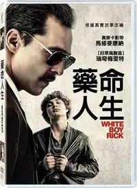 在飛比找Yahoo!奇摩拍賣優惠-JAY=DVD【藥命人生】馬修麥康納│正版公司貨-B01