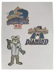 AZ Diamondbacks 2001 World Series Champions & Baxter Tattoo 2002 Kids Club SGA