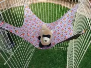 Ferret Hammock - Lavender with Red & Yellow Floral - 12" x 16"