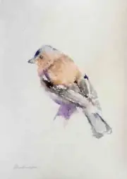 Chaffinch, Birds, Watercolor artwork, Handmade, Original painting on paper