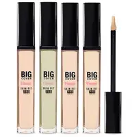 在飛比找蝦皮購物優惠-[ETUDE HOUSE] Big Cover Skin F