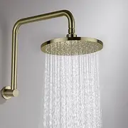 Decaura Gooseneck Shower Arm Extension with 9" Swivel Rain Shower Head Set Brass