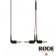 【RODE】SC11 Y型 3.5mm 一對二 音源分軌線(公司貨)