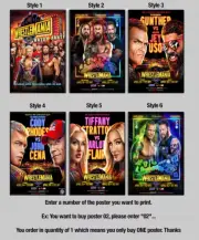 Wrestlemania 41 Poster
