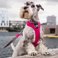 在飛比找樂天市場購物網優惠-QZee哥本哈根防爆沖運動狗狗Pro胸背帶DOG Copen