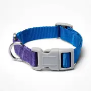 LEGO ColorBlock Dog Collar Small 8" to 12" - Blue Purple - Target Collection NEW