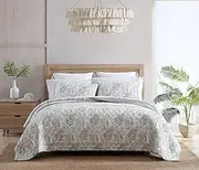 [Tommy Bahama] Queen Quilt Set, Reversible Cotton Bedding with Matching Shams, Soft Coastal Bedspread, All Season Home Decor (Maui Palm Green, Queen)