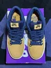 NIKE SB DUNK LOW JANSPORT BACKPACK SKATE NEW RARE DS AUTHENTIC US 9.5 DX6775 400