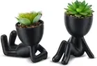 Fake Succulent, Mini Succulents Plants Artificial in Black Modern Human Shaped C