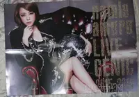 在飛比找Yahoo!奇摩拍賣優惠-安室奈美惠Namie Amuro - 2015-2016 巡