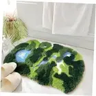 Moss Fluffy Rug,Funny Bath,Mat Rugs Runner for Bedside Dorm 20"×35" River