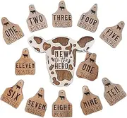 Cow Monthly Milestone, 13 Wooden Cow Tags Month Milestone, Highland Cow Baby Monthly Milestone, Baby Milestone Cards, Babies Wooden Monthly Milestone Cow Tags, New Cow Babies For Herd Babies