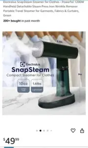 Hand Held Steamer