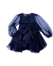 Bardot Enya Organza Mini Dress