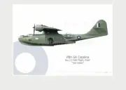 Warhead Illustrated PBY-5A Catalina 113 ASR FLT RAAF Sea Hawk Aircraft Print